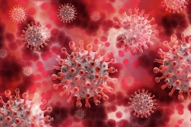 mRNA 백신 기술 플랫폼의 리피드 나노파티클 LNP 약물 전달체 원리와 안정성 확보 기법 정리